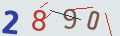 verifycode